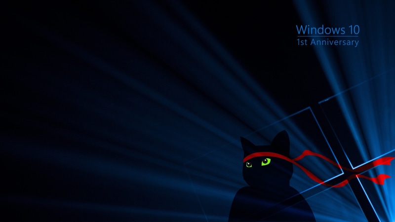 4K, cat windows 10 green red blue dark black windows 10 anniversary
