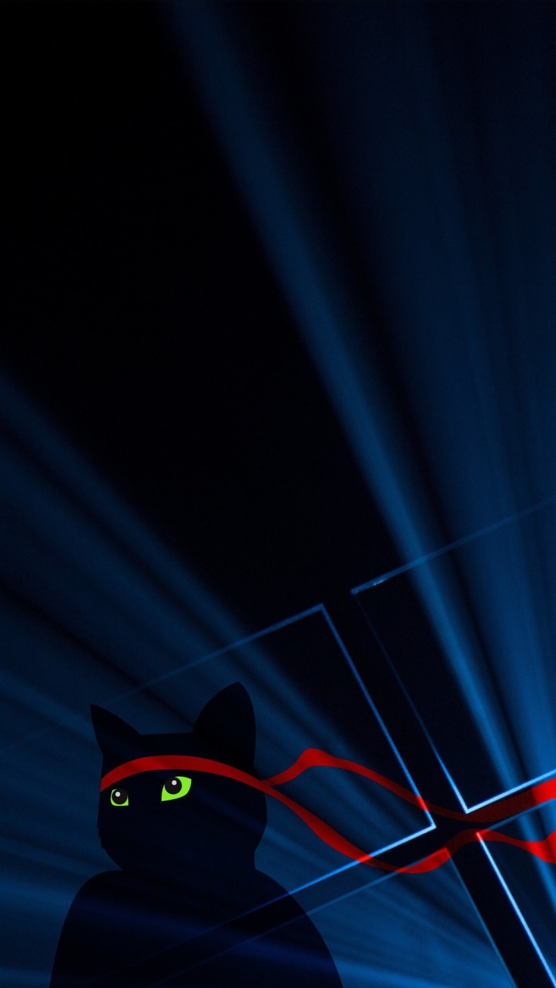 Windows 10, Ninja Cat, 2K, Windows 10 Anniversary