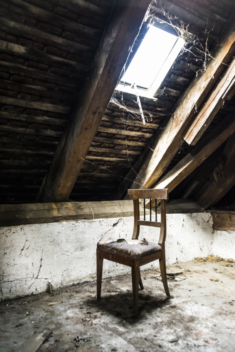 mood, ceiling, run-down, perfect, setup, atmosphere, wooden, obsolete, brown, artwork, day, castle windows, home, perfection, germany, window, dust, photograph