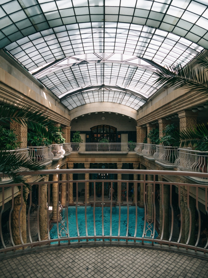 building, no people, greenhouse, glass - material, interior, plant, window, reflection, housing, budapest, seat, built structure, indoors, grey, column