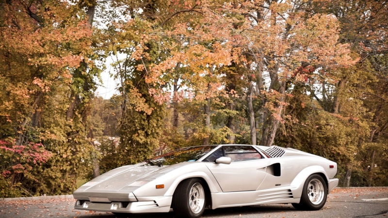plant, retro styled, land vehicle, luxury, no people, silver colored, transportation, nature, road, 1080P, motor vehicle, autumn, Lamborghini Countach