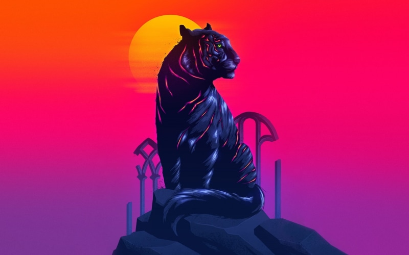 james white, sunset, Tiger, red, 720P, tigru, pink, fantasy, synthpop