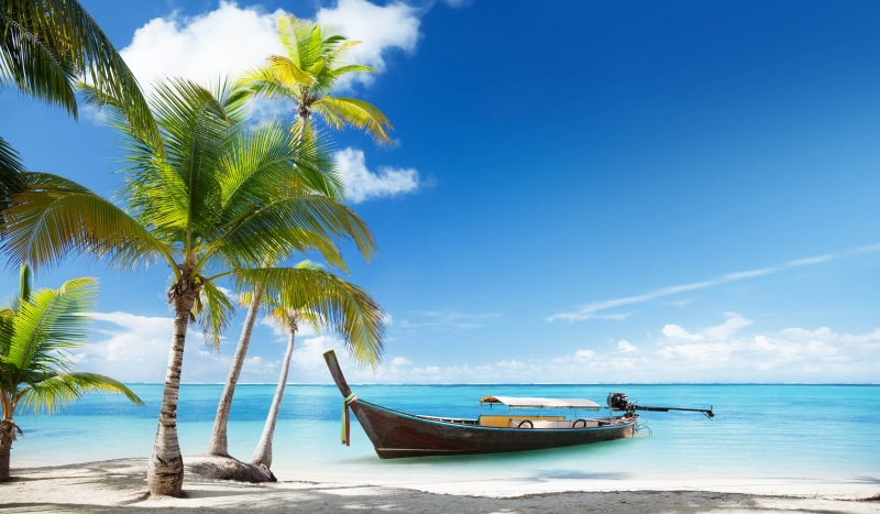 palm trees, sea, nature, turquoise colored, land, boat, sky, landscape, scenics - nature, horizon over water, transportation, brown, cloud - sky, beach