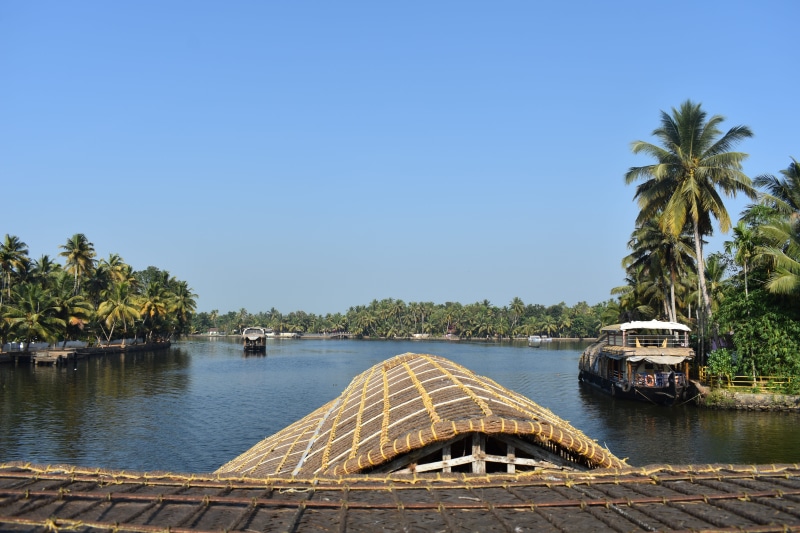 blue, palm tree, alleppey, travel, nautical vessel, alappuzha, scenics - nature, no people, mode of transportation, tropical climate, sky, tranquility