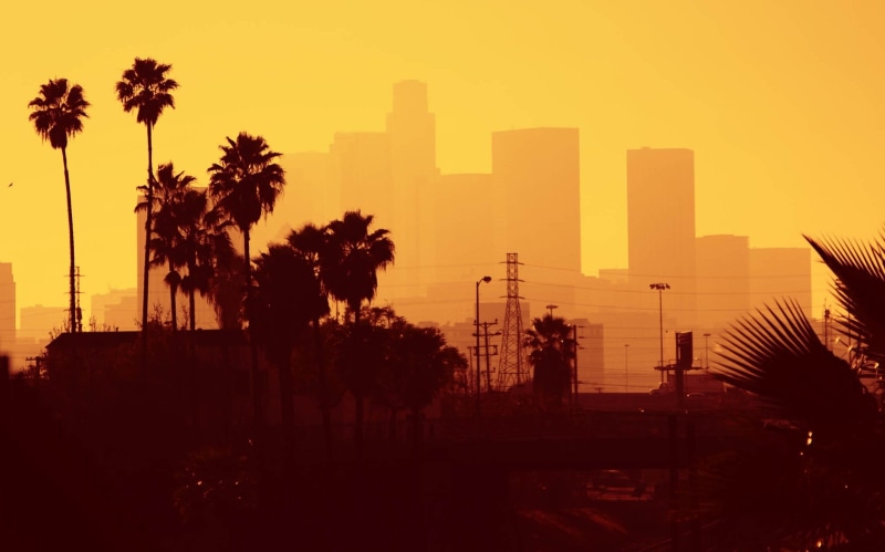 beauty in nature, street, tropical climate, Los Angeles, sky, tree, outdoors, sunset, plant, growth, skyscraper, building, city, no people, palm tree, silhouette