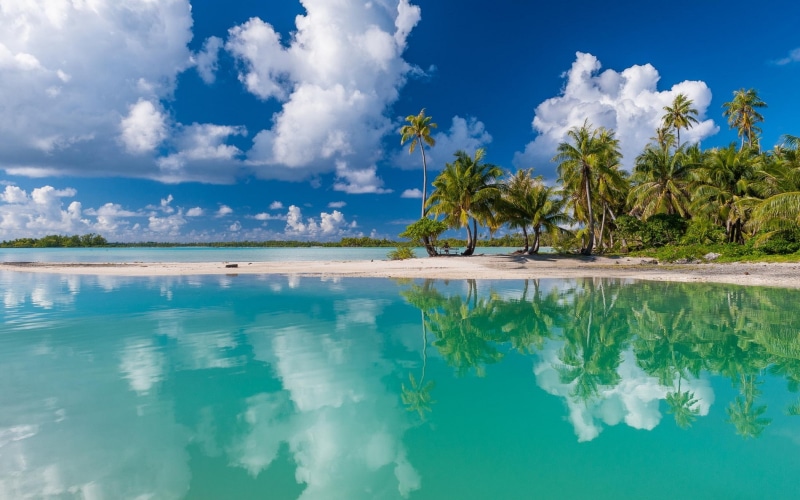 palm trees, beach, turquoise, clouds, tropical, 1080P, landscape, island, summer, sand, reflection, nature, sea, French Polynesia, white