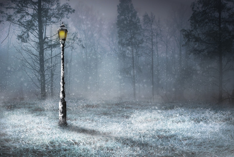 street light, plant, no people, tree, ice, season, snowing, woodland, fog, non-urban scene, weather, land, 2K, scenics - nature, snow, woods, nature, lamp light