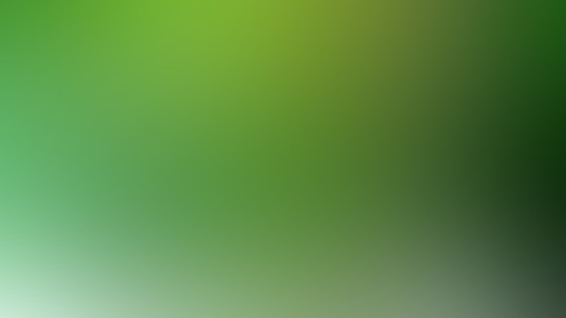 blank, green, full frame, empty, multi colored, nature, paper, close-up, board, copy space, no people, abstract, studio shot, colorful, blurred