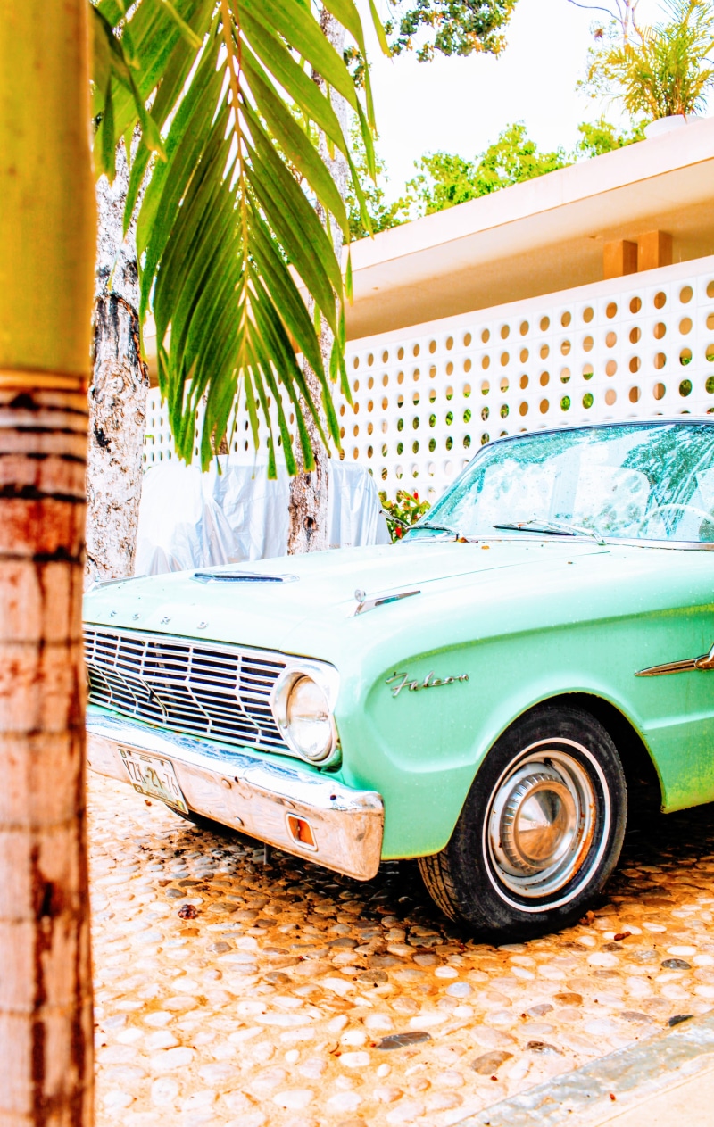 mexico, city, plant, mode of transportation, day, trees, car, travel, color, hotel, vintage, stationary, palm tree, retro styled, ford, land vehicle, holiday