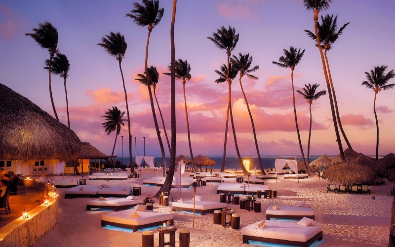 Trees, 2K, Ocean, Night, Sunbeds, Palm, Beach