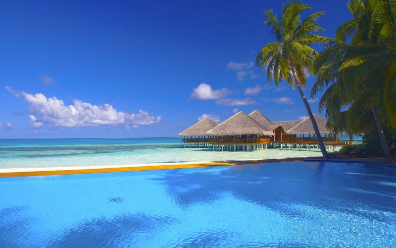 palm, tranquility, relaxation, parasol, 1080P, no People, the sky, green, tropical Climate, tahiti, coastline, sky, tranquil Scene, travel Destinations