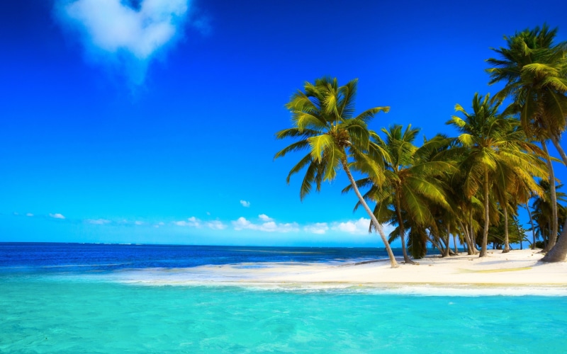 palm, corner, ocean, 2K, sky, landscape, palms, beach