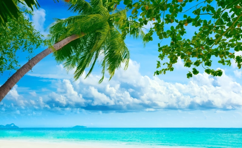 scenics - nature, blue, palm, landscape, summertime, water, no people, Nature, idyllic, summer season, sky, 1080P, tropical, Travel/Islands, exotic, Beach