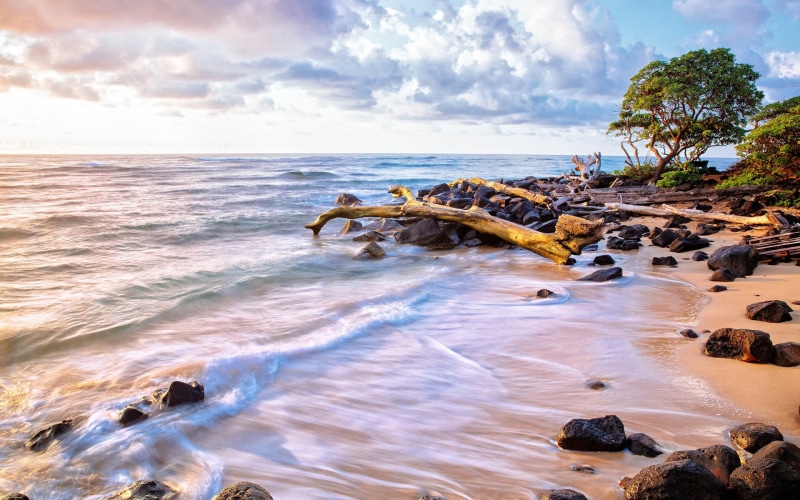 Water, Sea, Trees, Waves, Sky, Stones, 1080P, Beach, Sand, Clouds, Ocean