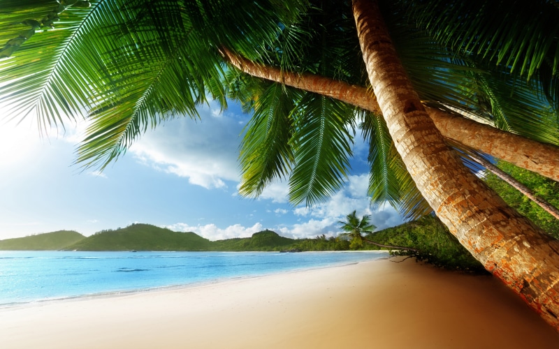 tropical, waves, palms, blue, 4K, sand, sky, ocean, sun, beach, hd, desktop, caribbean