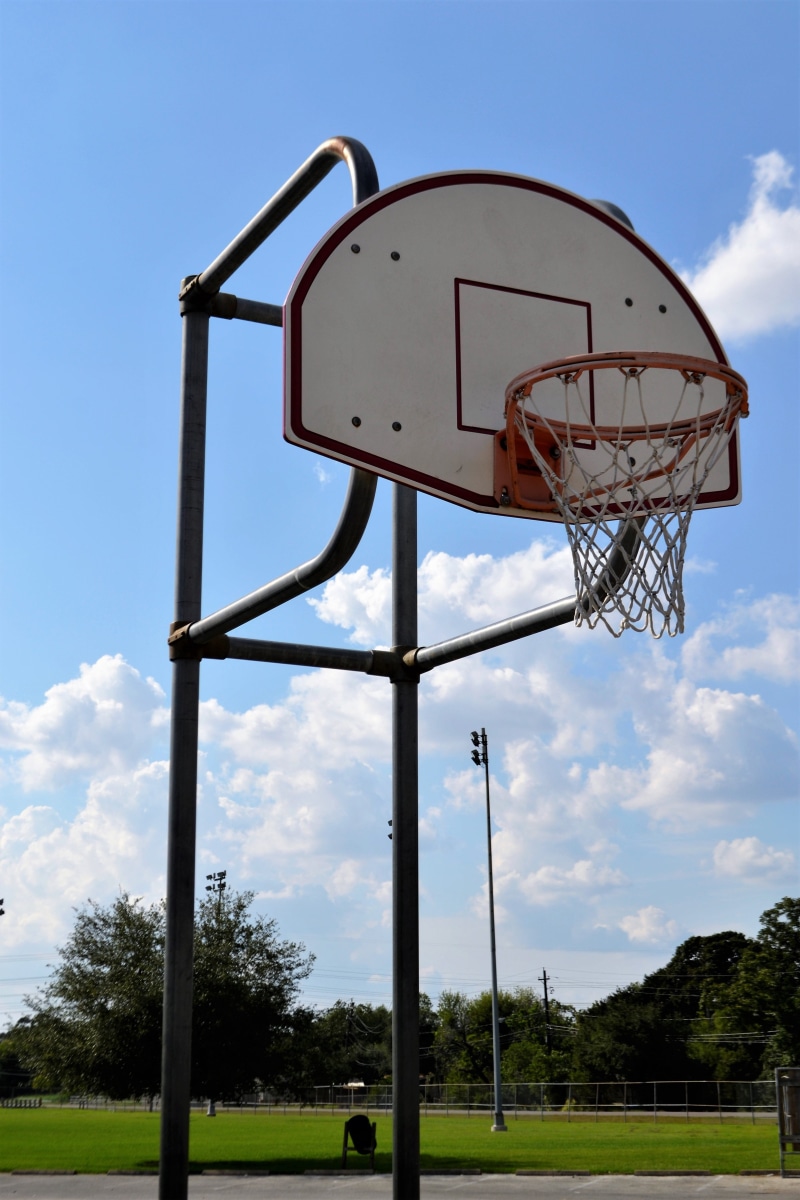 ball, outdoor, day, low angle view, field, outdoor basketball court, basketball, play, win, rim, team, hoop, sport, nba, exercise, no people, tree, competition