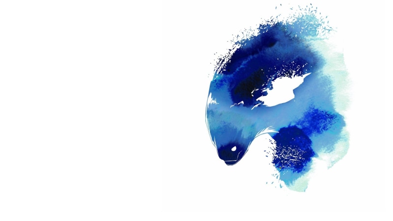 no people, single object, paint, watercolor paints, art and craft, studio shot, video games, close-up, nature, illustration, abstract, copy space, Dota