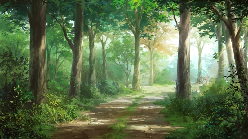 trail, trunk, forest, Path, no people, woodland, direction, tranquil scene, tree trunk, outdoors, footpath, Original, sunlight, green color, plant, day