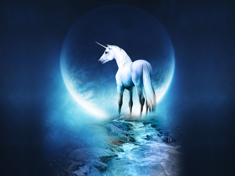 fantasy, unicorn, hd, 720P
