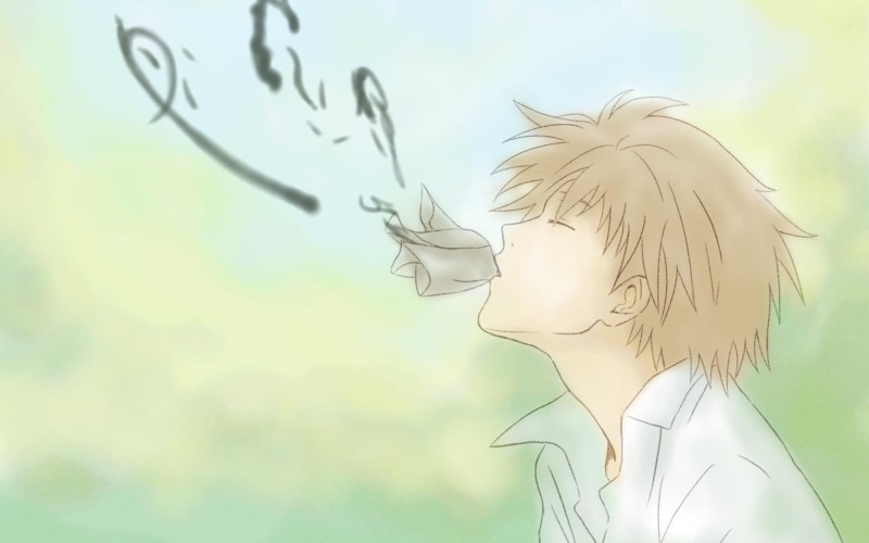 women, human face, nature, outdoors, young adult, Natsume Yuujinchou, one person, digital composite, portrait, male, side view, sky, anime, day, hairstyle