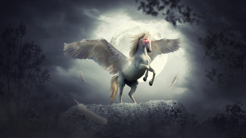 animal themes, horse, one animal, fairy tale, angel, bird, fantasy, landscape, digital composite, animal wildlife, motion, animals, animal wing, flapping