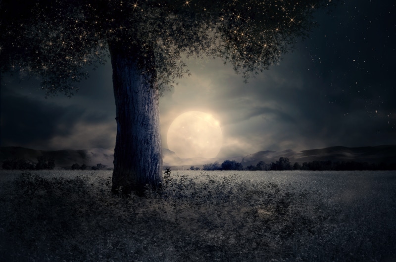 tranquil scene, foliage, full moon, landscape, mysterious, grass, no people, nature, cloud - sky, mountains, green, beauty in nature, moon, night, light