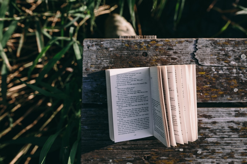 woman with book, page, evening, wooden pier, script, Reading book, religion, belief, lake, day, time, wood - material, open, education, old pier, girl reading book