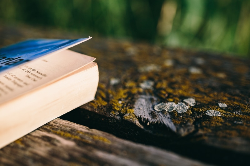 reading, tranquility, close-up, outdoors, opened notebook, no people, selective focus, book, wooden boards, plant, man with book, religion, water, lake