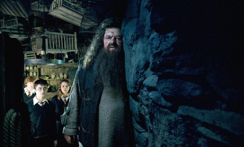 witch, 720P, watson, potter, magic, fantasy, harry, wizard, adventure, series, emma, poster