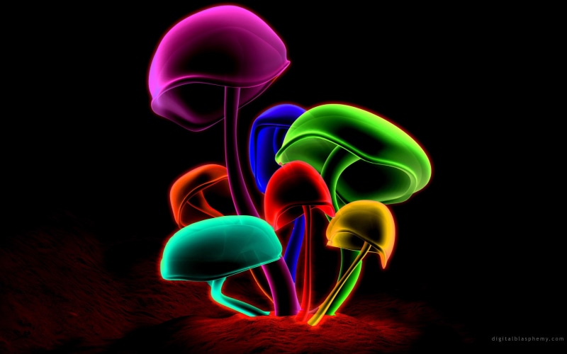 multicolor, mushrooms, 2K, d, abstract, cgi, art, cg, hd