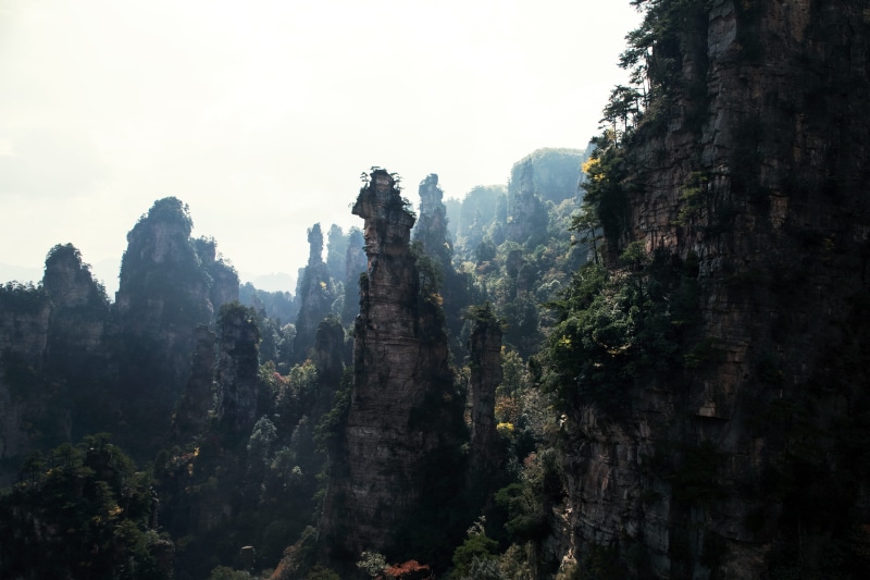scenics - nature, no people, tree, solid, national park, mountain, rock formation, 5K, avatar, rock, day, landscape, forest, non-urban scene, travel destinations