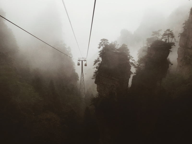  sky, growth, tranquility, tree, cable, tranquil scene, zhangjiajie national forest park, nature, avatar, 4K, zhangjiajie park, zhangjiajie