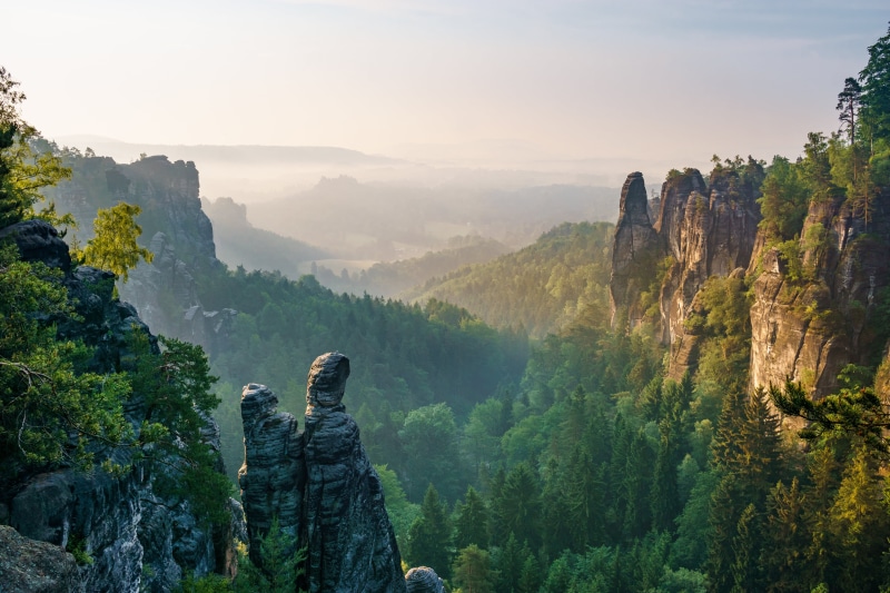 brown, Morgen, Tal, 4K, green, Fog, Germany, travel, Mist, scenics, SEL, romantic, Trees, Dunst, Valley, Saxony, Sächsische-Schweiz, Nebel, Bäume, Bastei