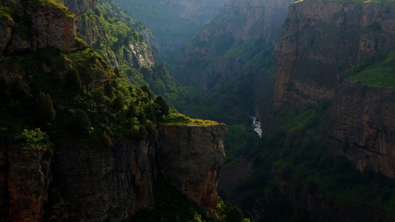 plants, tranquil scene, brown, cultures, stone - Object, rock formation, forest, environment, sky, zhangjiajie, mountains, tourism, hunan Province, asia