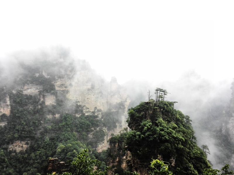 4K, land, tranquil scene, outdoors, growth, day, asia, no people, nature, fog, hunan Province, environment, summer hill, built structure, mist, beauty in nature