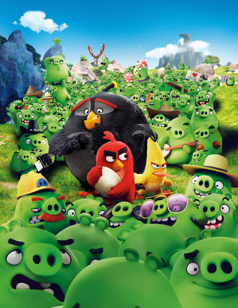 Angry Birds, Chuck, 4K, Red, 2016 Movies, Bomb