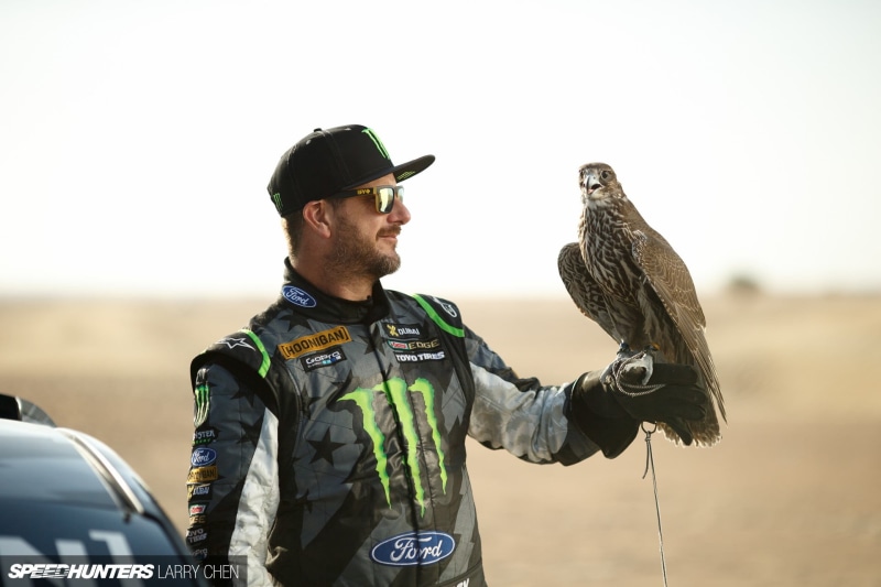 focus on foreground, animals in the wild, real people, men, looking, standing, Gymkhana, one person, bird, animal wildlife, vertebrate, outdoors, day, clothing