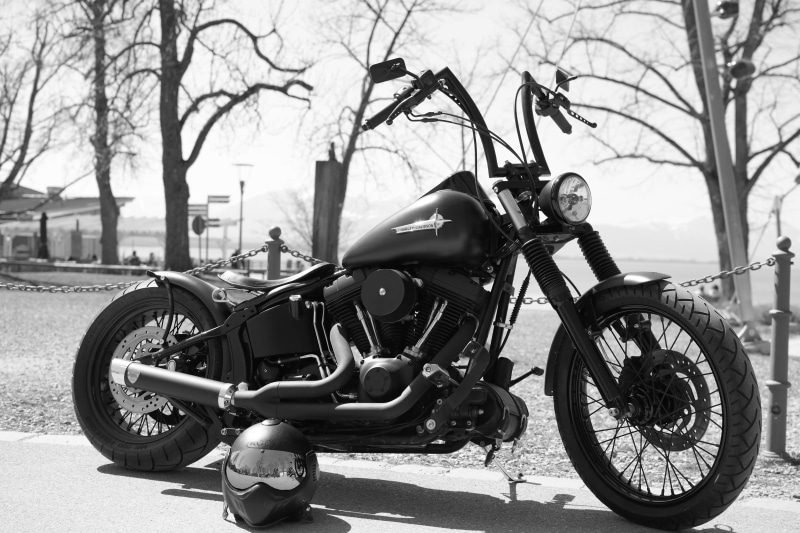 cruiser, cruiser motorcycle, mode of transportation, cult, leisure, no people, travel, photography, grayscale, parking, outdoors, harley, near, bare tree