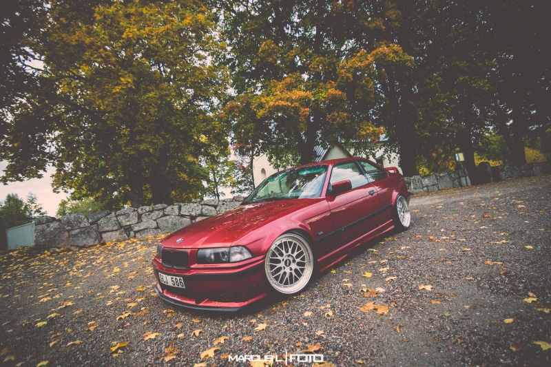 transportation, car, outdoors, retro Styled, engine, growth, plant, germany, no People, luxury, city, stationary, day, nature, mode of Transport, plant part