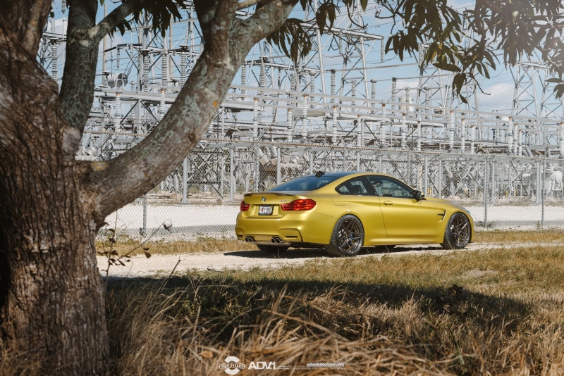 tree trunk, BMW M4, yellow, grass, motor vehicle, field, BMW, land, transportation, door, 1080P, Austin Yellow, tree, outdoors, nature, branch, ADV.1 Wheels