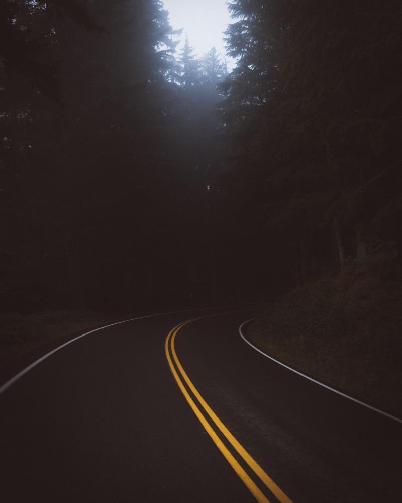 outdoors, tree, time, daytime, trees, sign, curve, symbol, travel, direction, street, landscape, forest, route, green, road marking, double yellow line