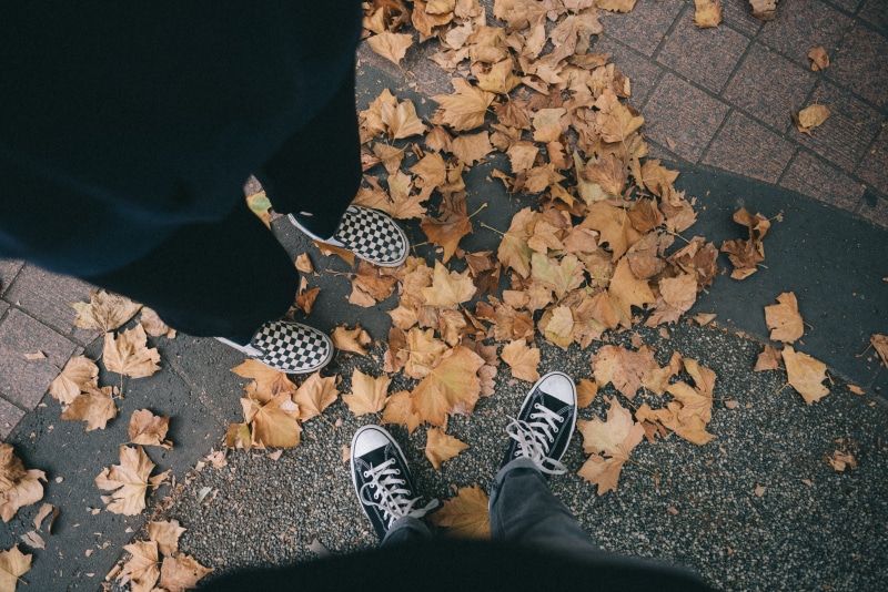 personal perspective, low section, apparel, 5K, shoe, flagstone, white, animal, high angle view, leisure activity, top, body part, sneaker, human limb