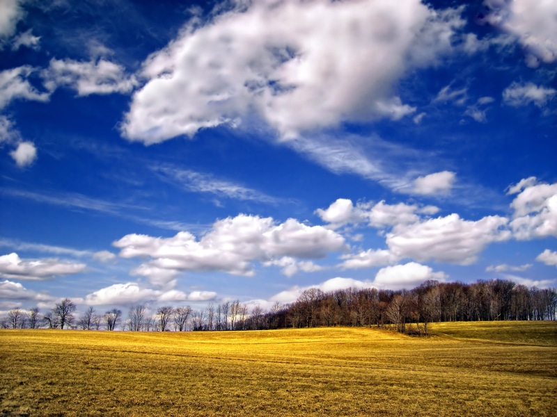non-Urban Scene, green Color, High  green, sky, nature, springtime, 2K, blue, spring, meadow, green, cloud - Sky, Pennsylvania, beauty In Nature, grass