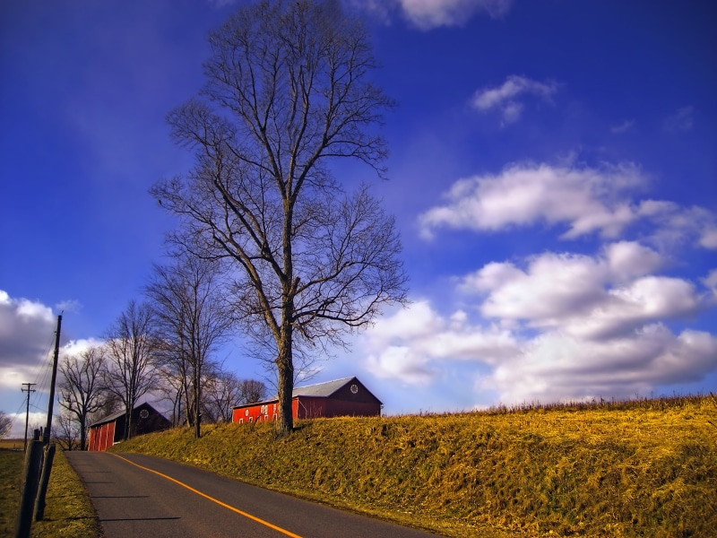 red, road, cumulus, Pennsylvania German, landscape, rural Scene, beside, rural, Berks County, Pennsylvania Dutch, farm, outdoors, nature, 2K, barns, cloudy