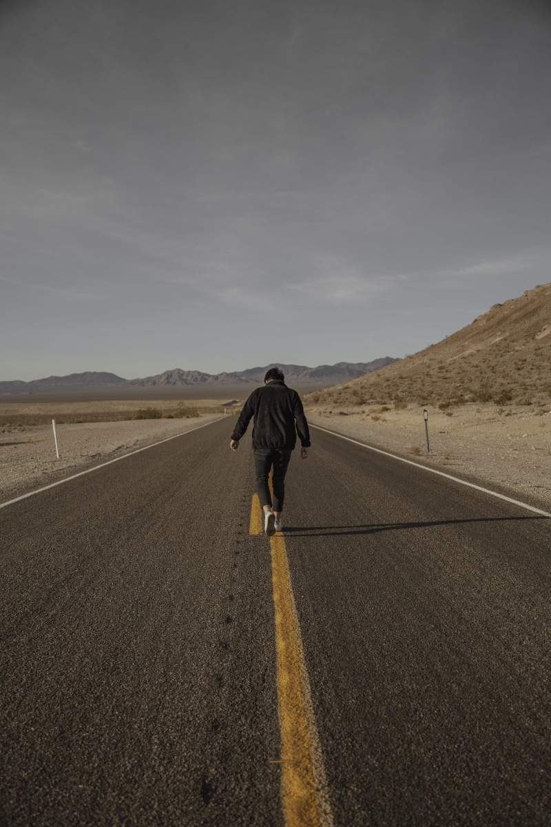 environment, lifestyles, road marking, one person, man, walking, sign, transportation, animal, day, the way forward, real people, 5K, diminishing perspective
