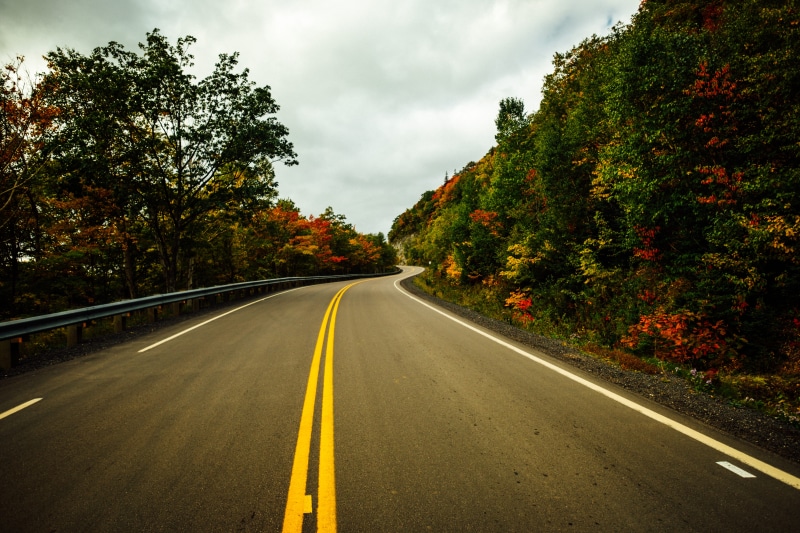 marking, gravel, bush, road marking, tarmac, double yellow line, cabot trail, conifer, yew, dividing line, way, beauty in nature, highway, transportation