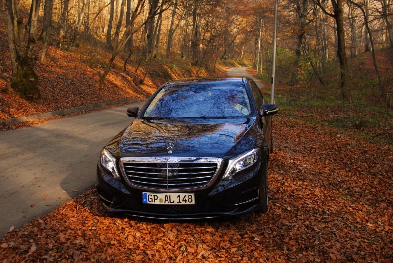 Mercedes, automotive, mode of transportation, presentation, leaf, color, tree trunk, extreme, tire, motor, performance, light, grey, car, wealth, summer