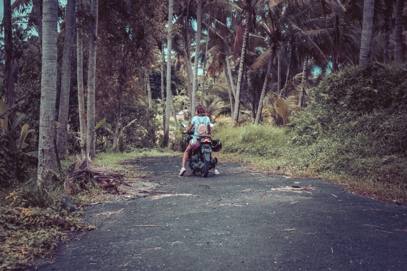 ride, landscape, transportation system, rider, fashion, environment, wood, vacation, street, lifestyle, action, forest, safety, person, transport, summer