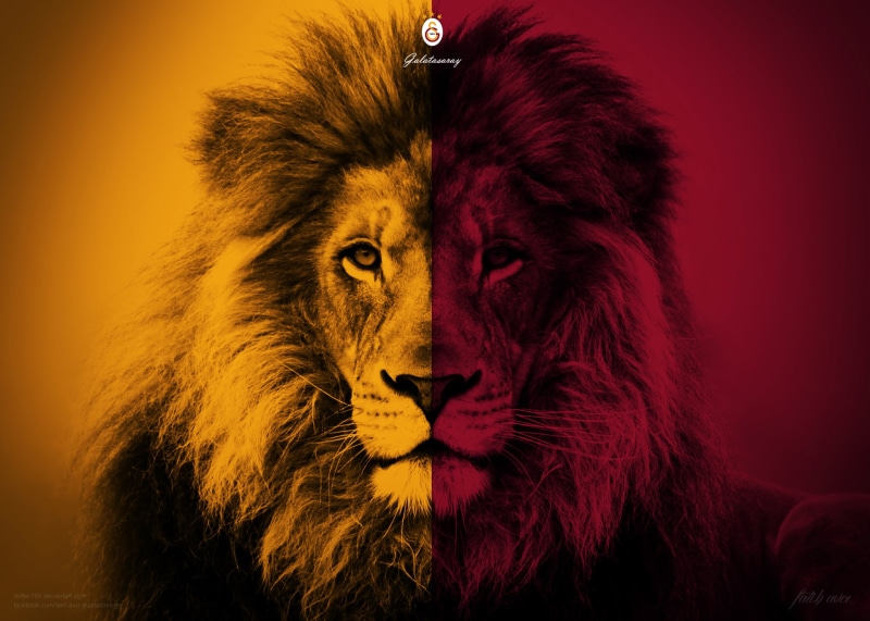 Emblem, Logo, 1080P, Galatasaray S.K., Lion, Soccer