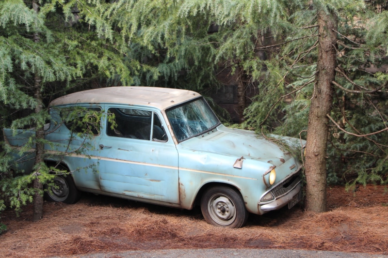 two, travel, nature, blue, car, tree, play garden, transportation, day, motor vehicle accidents, mode of transportation, plant, harry potter, stationary